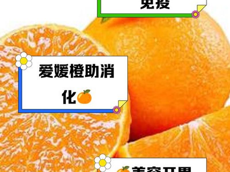 橙子建站的使用教程和优势(橙子建站支持添加的有) 橙子建站的使用教程和优势(橙子建站支持添加的有)