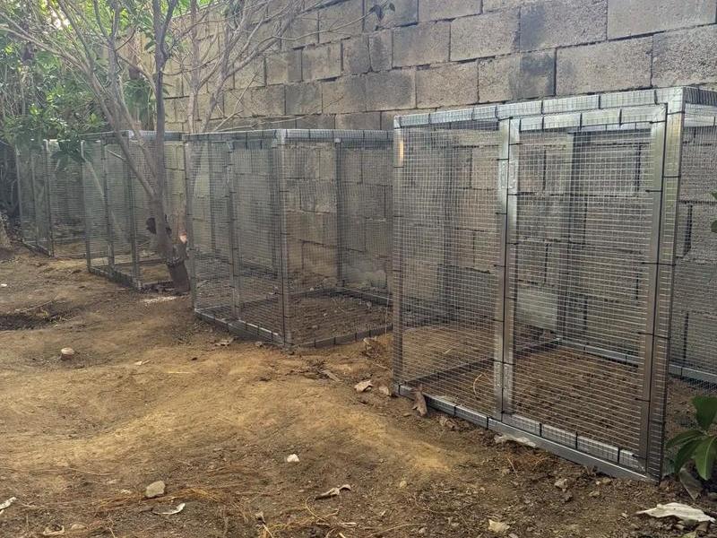 斗鸡隔笼搭建教程(斗鸡隔笼搭建教程图解) 斗鸡隔笼搭建教程(斗鸡隔笼搭建教程图解)