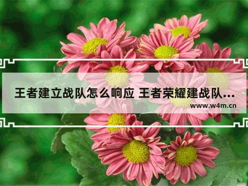 创建战队的条件 创建战队的条件和要求 创建战队的条件 创建战队的条件和要求