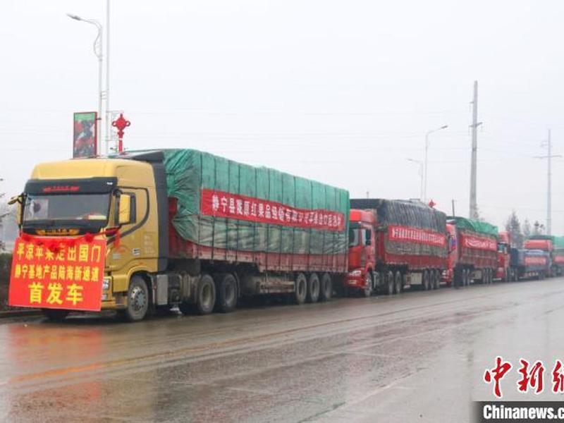 甘肃对外贸易发展报告、甘肃对外贸易发展报告2020 甘肃对外贸易发展报告、甘肃对外贸易发展报告2020