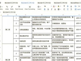 公司独立站运营（公司独立站运营管理方案）
