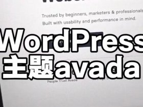 wordpress外贸网站建设教程 wordpress外贸b2c建站主题