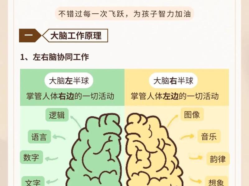 搭建无脑系统技巧;搭建无脑系统技巧和方法 搭建无脑系统技巧;搭建无脑系统技巧和方法