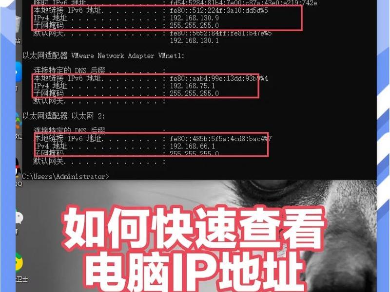 根据域名查找网址的方法 根据域名查找网址的方法是 根据域名查找网址的方法 根据域名查找网址的方法是