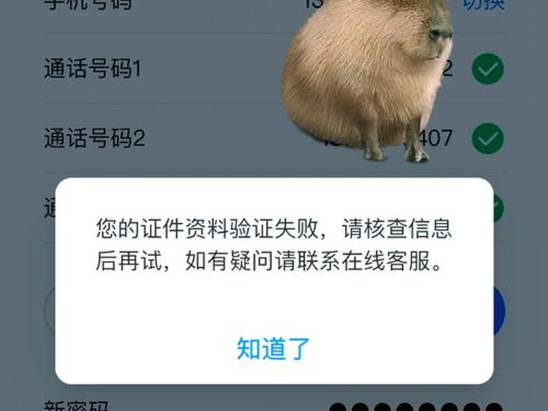 b站修改密码，b站修改密码后别的设备要求重新登陆吗