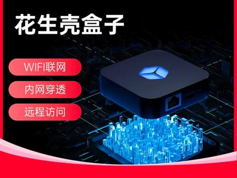 花生壳 nginx 花生壳 ngrok frp 花生壳 nginx 花生壳 ngrok frp