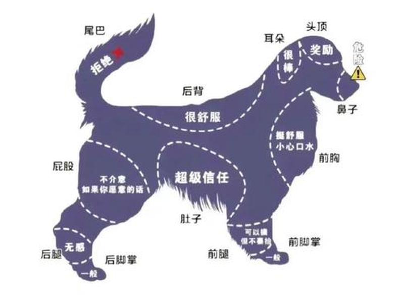 狗爹怎么改域名、狗爹怎么改域名的 狗爹怎么改域名、狗爹怎么改域名的