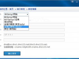 windows宝塔面板内网穿透免费版无限制 - windows宝塔面板内网穿透免费版无限制吗