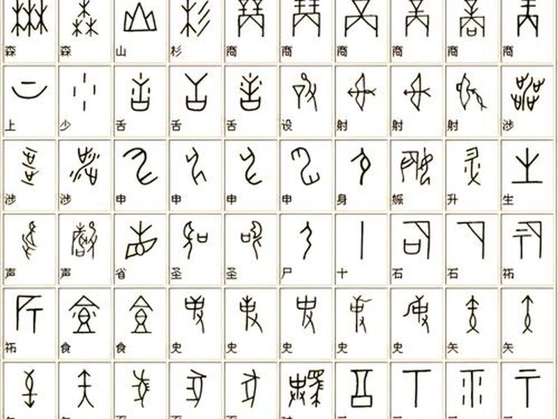 甲骨文简介50字,甲骨文简介50字怎么写 甲骨文简介50字,甲骨文简介50字怎么写