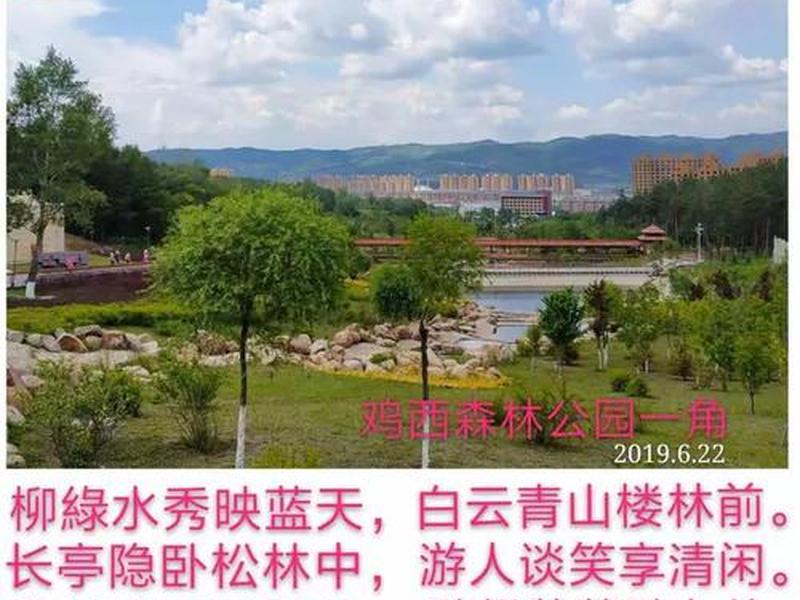 鸡西建桥活位置 鸡西人有桥几点到几点可以左转 鸡西建桥活位置 鸡西人有桥几点到几点可以左转