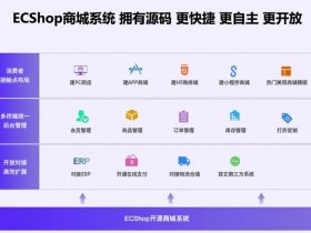 magento2开源电商系统、mall开源系统