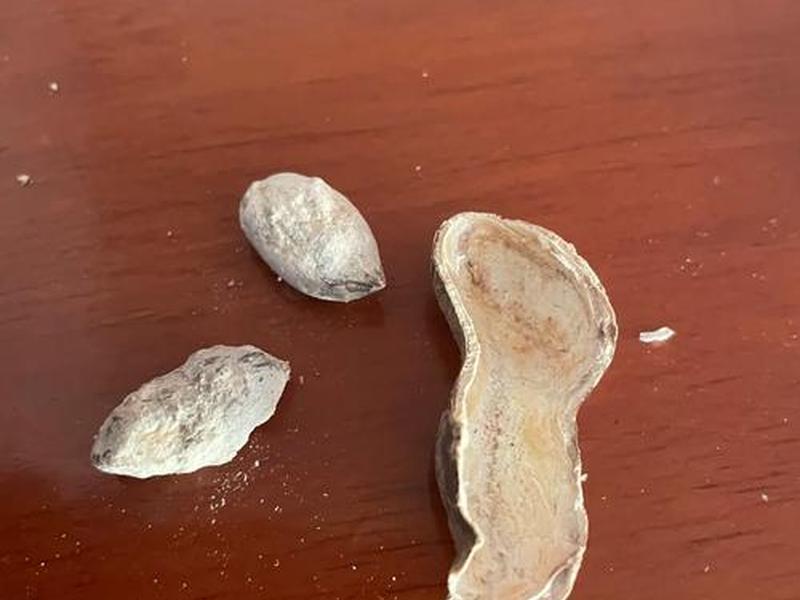 花生壳穿透内网；花生壳穿透内网是免费的吗