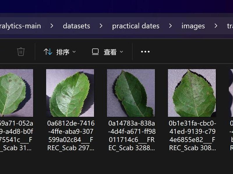 搭建yolo、搭建yolov10虚拟环境