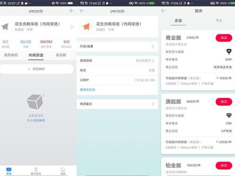 花生壳建站教程图文；花生壳 内网建站