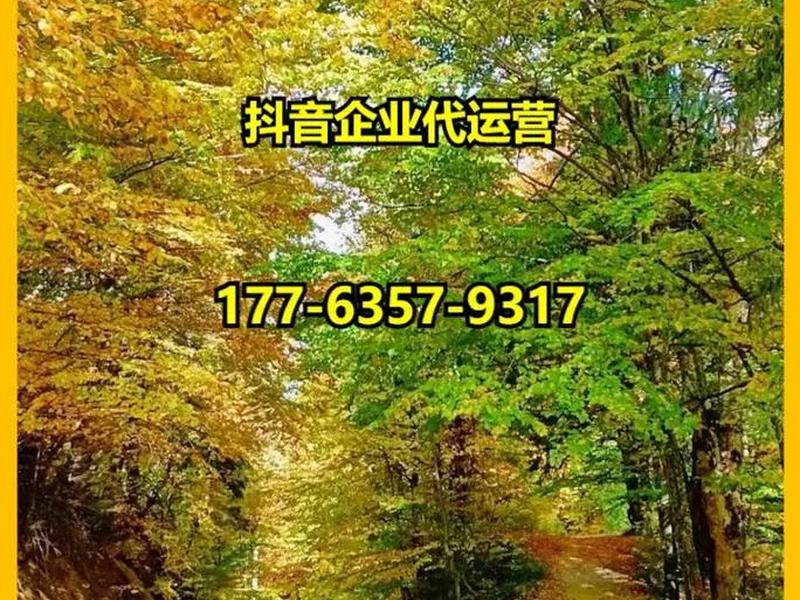 广元网站推广 - 广元网站推广公司 广元网站推广 - 广元网站推广公司