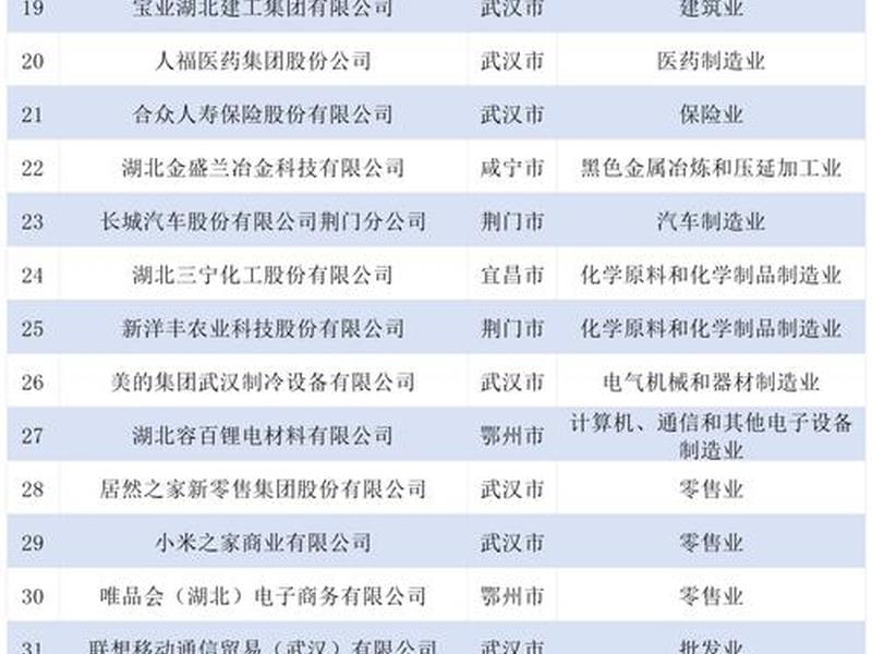 湖北外贸企业官网搭建,湖北外贸企业百强 湖北外贸企业官网搭建,湖北外贸企业百强