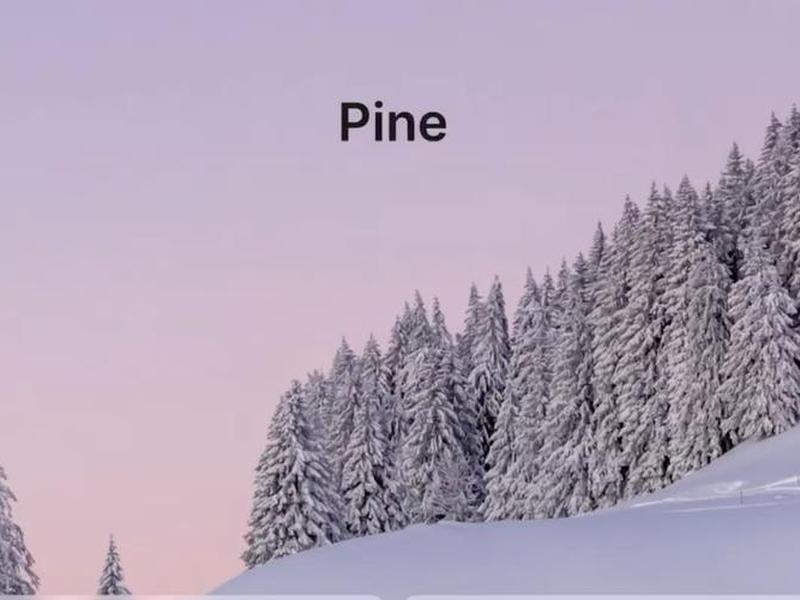 pineapple,pineapple正确发音 pineapple,pineapple正确发音