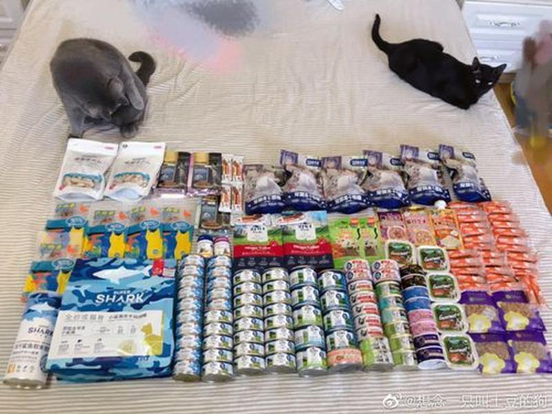 狗爹运营推广 狗爹运营推广怎么样 狗爹运营推广 狗爹运营推广怎么样