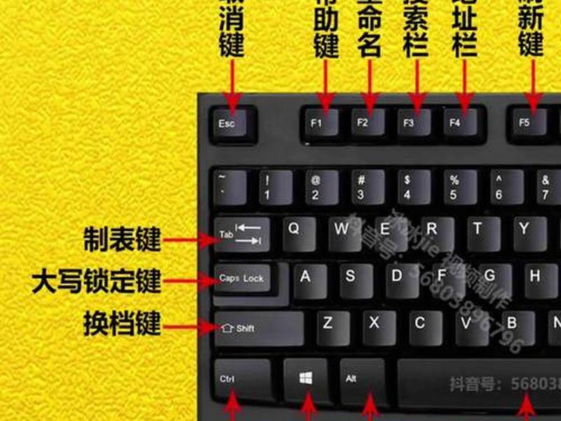 0基础装电脑从零开始教程完整版;零基础装电脑系统 0基础装电脑从零开始教程完整版;零基础装电脑系统