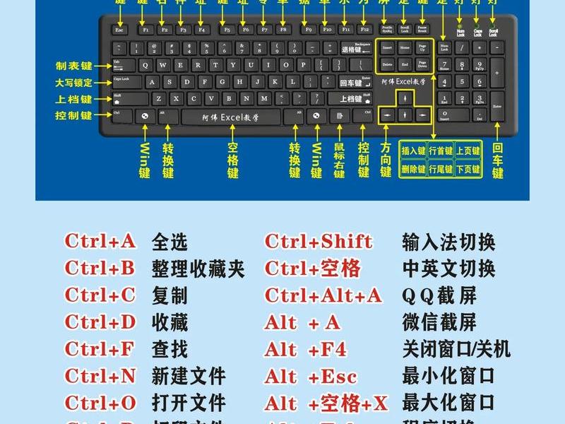 0基础小白入门到精通办公课程 0基础学办公软件从哪里入手 0基础小白入门到精通办公课程 0基础学办公软件从哪里入手