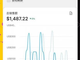 shopify独立站建站全教程，shopify独立站卖全球吗