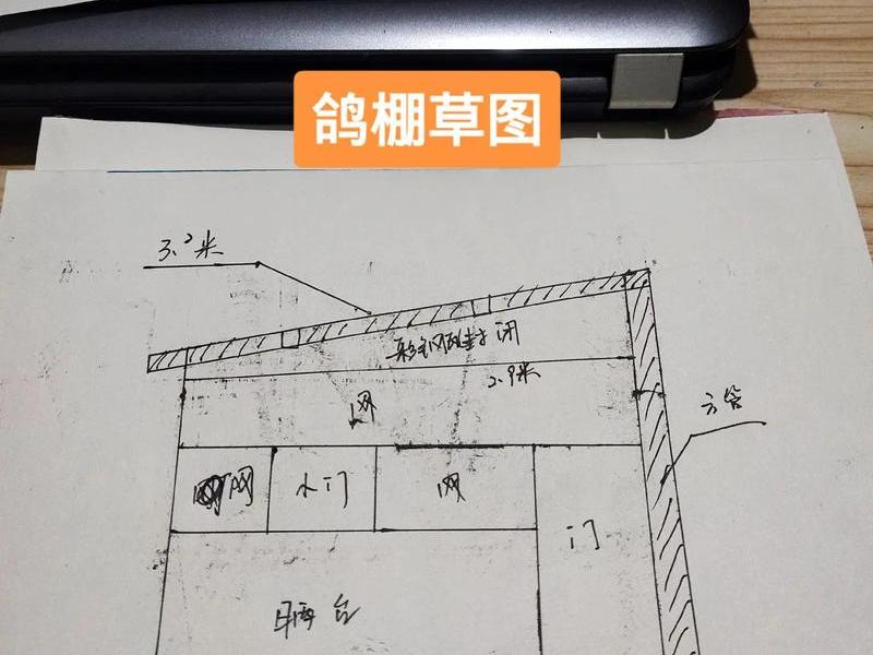 搭建鸽棚(搭建鸽棚的工人怎么找) 搭建鸽棚(搭建鸽棚的工人怎么找)