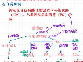 oxygen是什么意思、oxygen是什么意思 翻译