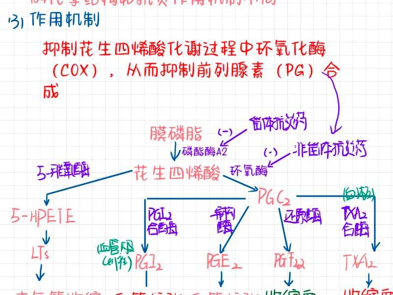 oxygen是什么意思、oxygen是什么意思 翻译