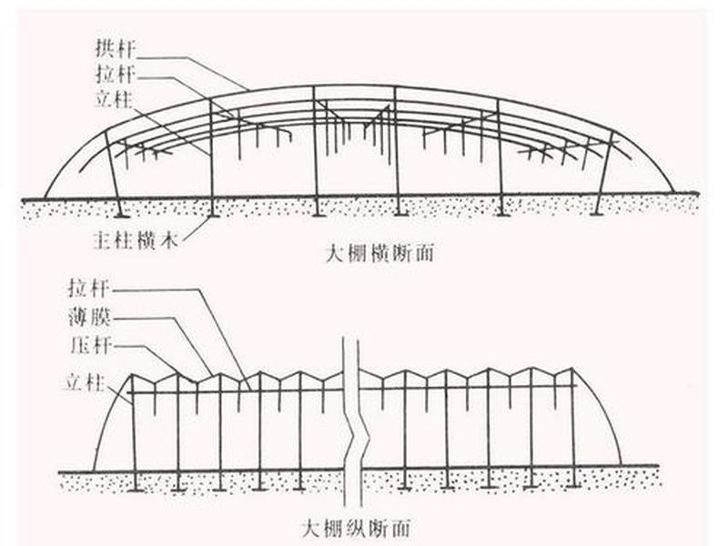 博达大棚建造工艺;博达大棚建造工艺流程 博达大棚建造工艺;博达大棚建造工艺流程
