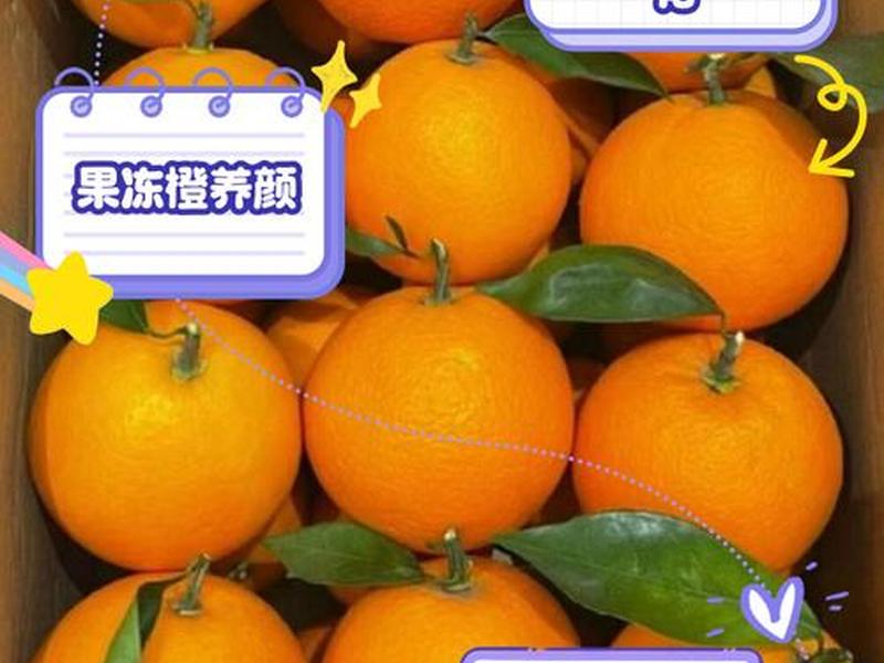 橙子建站是干什么的(橙子建站是干什么的,怎样删除它) 橙子建站是干什么的(橙子建站是干什么的,怎样删除它)
