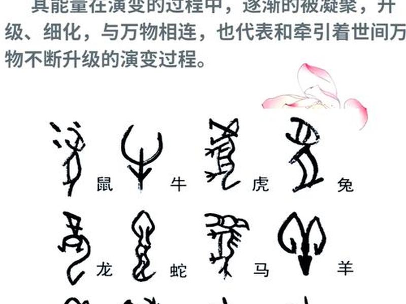 甲骨文建设电力中心(甲骨文中的电怎么写) 甲骨文建设电力中心(甲骨文中的电怎么写)