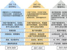 ssc搭建规划ppt、ssc架构怎么搭建