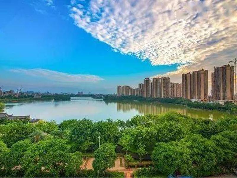 贵港做外贸、贵港做外贸香辛料的办公楼在哪里 贵港做外贸、贵港做外贸香辛料的办公楼在哪里
