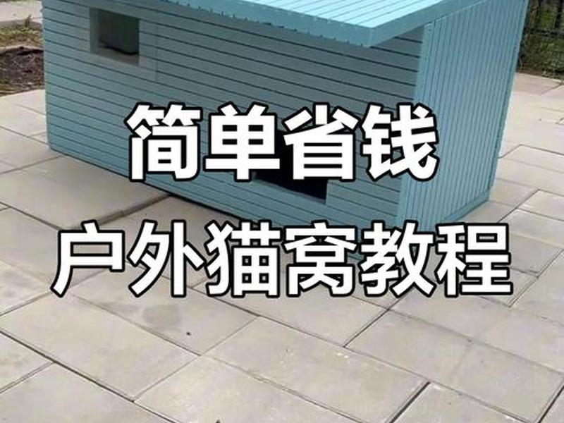搭建猫窝户外(搭建猫窝户外活动教案) 搭建猫窝户外(搭建猫窝户外活动教案)