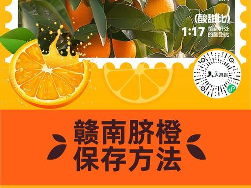 橙子建站广告投放教程(橙子建站广告怎么投放) 橙子建站广告投放教程(橙子建站广告怎么投放)