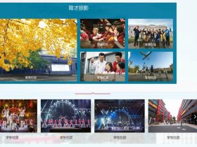 动易建站视频教程 动易网站教程