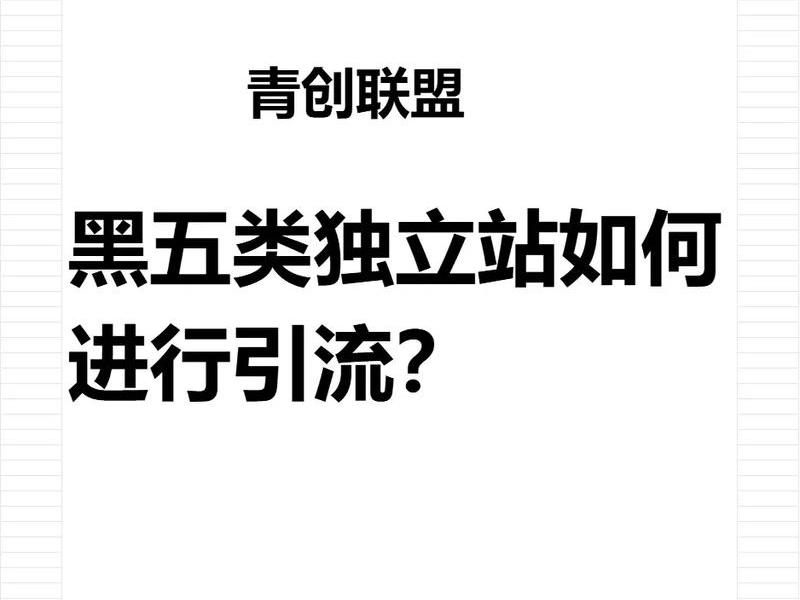 黑五类独立站 黑五类独立站是干什么的 黑五类独立站 黑五类独立站是干什么的