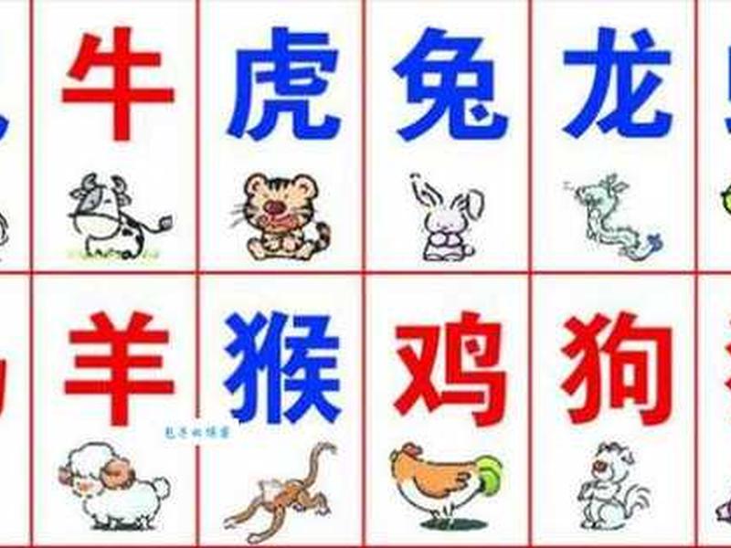 吊丝一个猜什么生肖(说人吊丝是什么意思) 吊丝一个猜什么生肖(说人吊丝是什么意思)