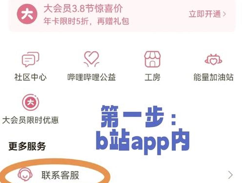 b站国际版怎么用,b站国际版怎么用微信支付 b站国际版怎么用,b站国际版怎么用微信支付