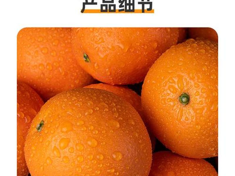 橙子建站在线咨询(橙子建站客服) 橙子建站在线咨询(橙子建站客服)