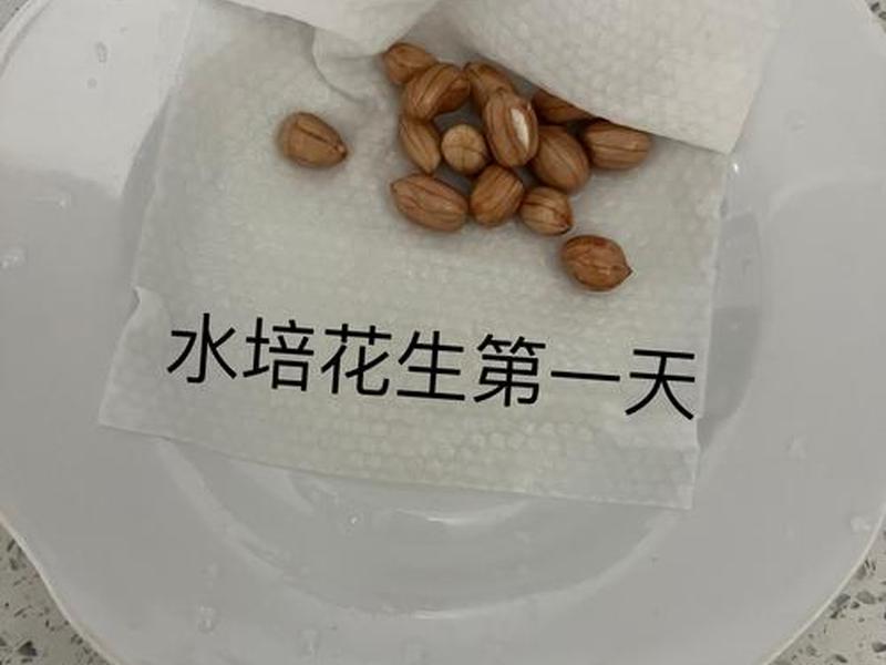 花生壳安装步骤、花生壳安装步骤图