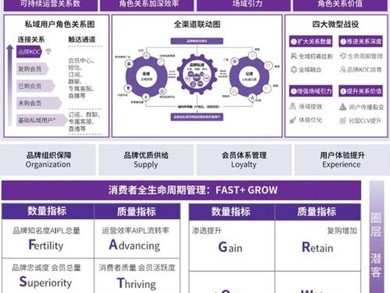 7天搭建电商平台运营,电商平台搭建运营方案 7天搭建电商平台运营,电商平台搭建运营方案