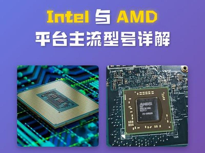 amh应用、amd应用有什么用 amh应用、amd应用有什么用
