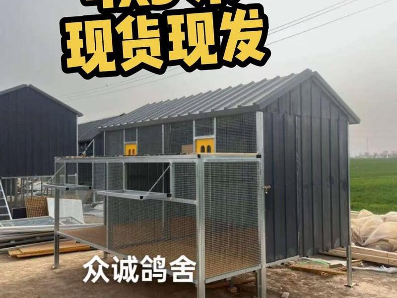 鸽棚怎么搭建鸽窝;鸽棚怎么搭建鸽窝视频 鸽棚怎么搭建鸽窝;鸽棚怎么搭建鸽窝视频