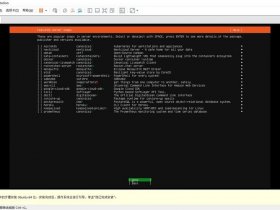 ubuntu怎么做服务器（ubuntu做服务器怎么样）