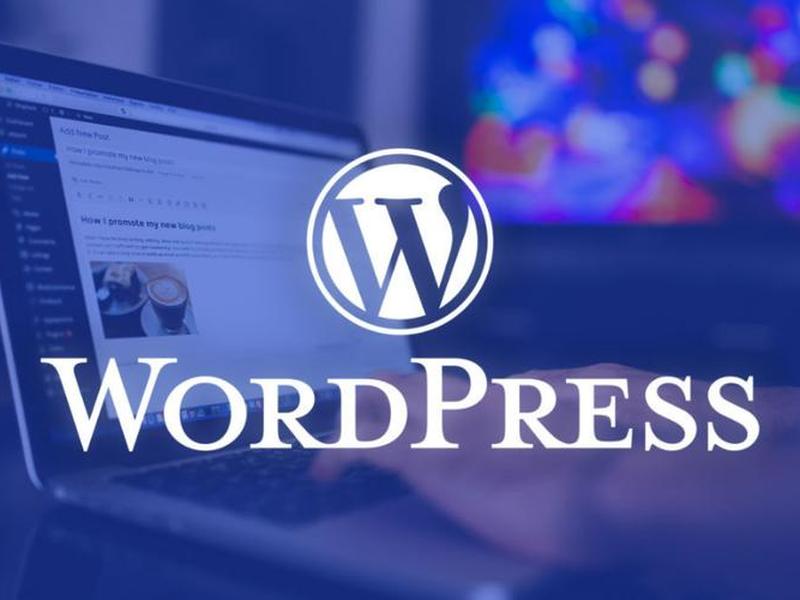 wordpress开源电商工具 - wordpress开源模板 wordpress开源电商工具 - wordpress开源模板