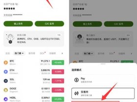 创建web网站教程，创建web网站教程手机版