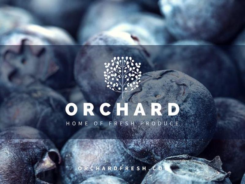 orchard是什么意思中文 orchard是什么意思中文翻译 orchard是什么意思中文 orchard是什么意思中文翻译
