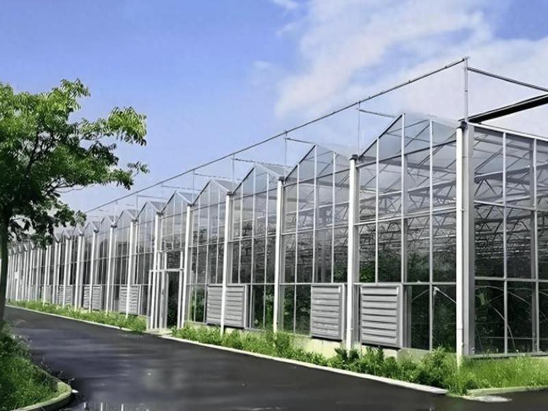 常州智能温室搭建;常州智能温室搭建工程 常州智能温室搭建;常州智能温室搭建工程