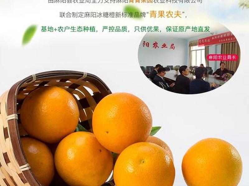 橙子建站移动卡 - 橙子建站免费吗 橙子建站移动卡 - 橙子建站免费吗